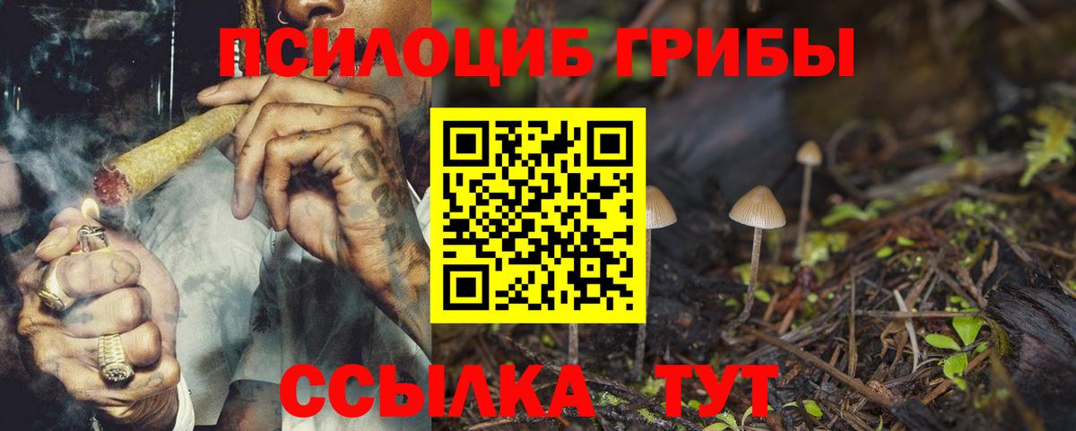 Галлюциногенные грибы Magic Shrooms  Галлюциногенные грибы Cubensis  Волгодонск  Вход с VPN 