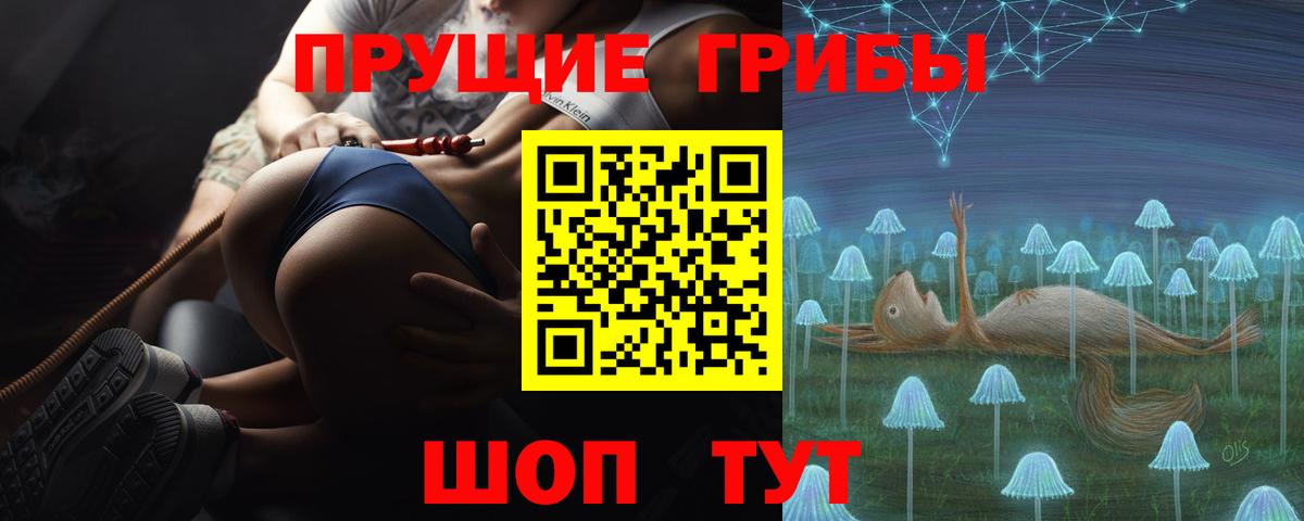 Псилоцибиновые грибы GOLDEN TEACHER Волгодонск